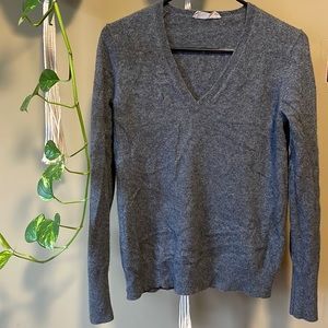 Everlane Cashmere V-neck Sweater